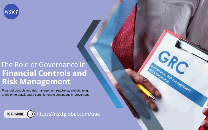 The Role of Governance in Risk Management and Financial Controls 
